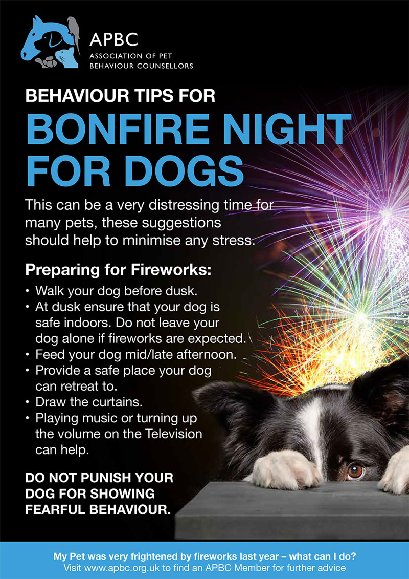 firework fears - Behaviour Tips for your Dog on Bonfire Night