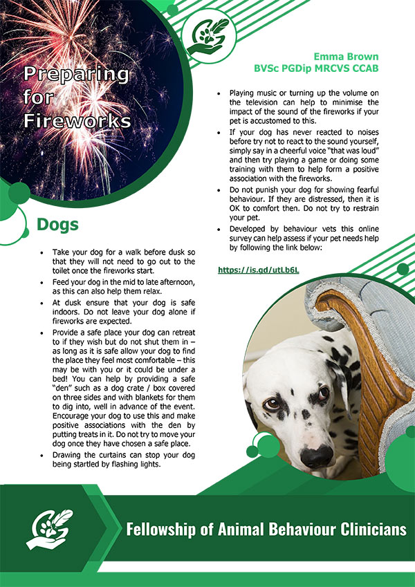 Preparing your pets for fireworks