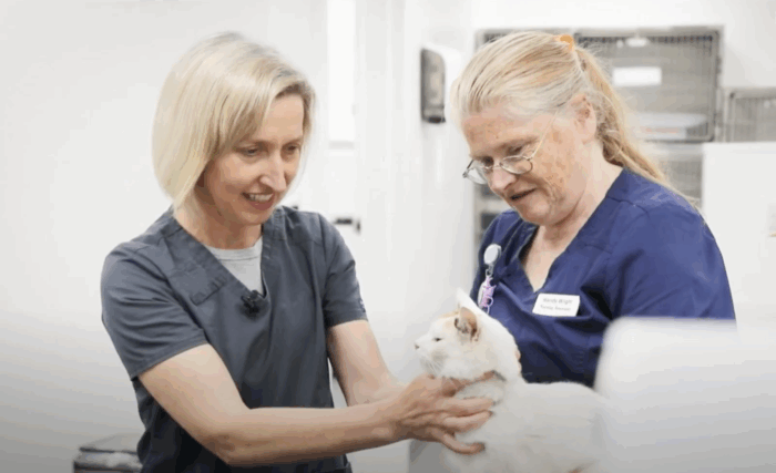 ITV News Feature: PowisVets offering fair and competitive prices