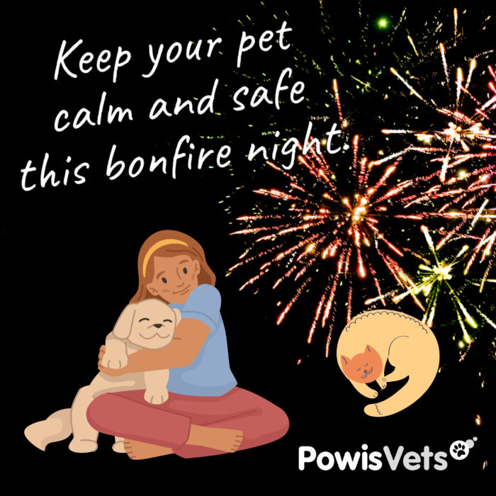 Helping to take the fear out of fireworks