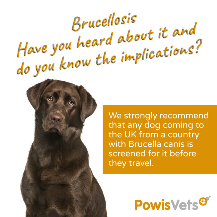 Brucellosis- have you heard about it and do you know the implications?